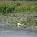 dsc00056.jpg