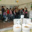 Foto07.JPG