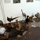 Foto13.JPG