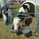 Foto16.JPG