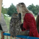 Foto18.JPG