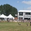 GameFair03.JPG