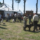 GameFair04.JPG