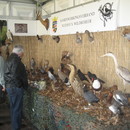 GameFair08.JPG